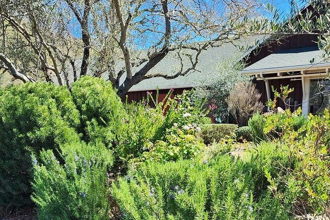 private-champagne-and-wine-tour-to-sonoma-and-napa