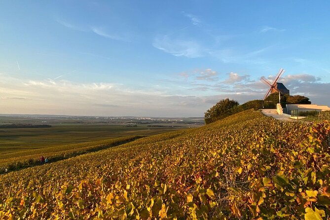 private-champagne-tour-iconic-boutique-champagne-restaurant