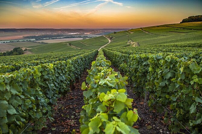 private-champagne-tour-veuve-clicquot-moet-chandon-from-reims