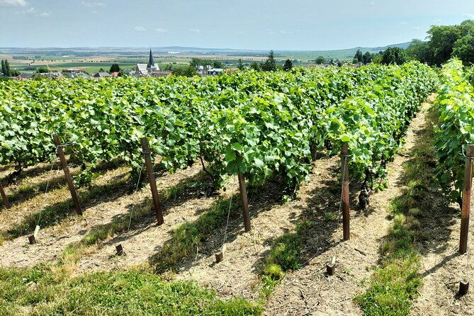 private-champagne-tour-veuve-clicquot-moet-chandon-from-reims