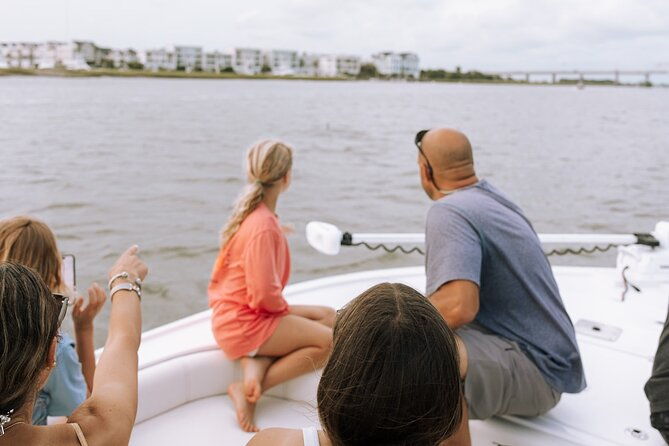 private-charleston-dolphin-tour
