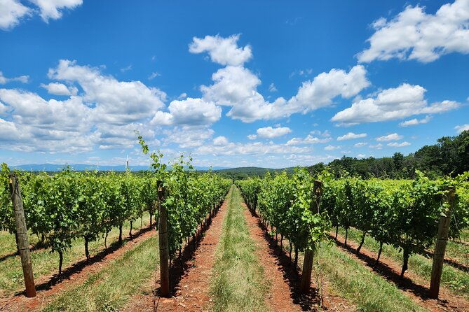 private-charlottesville-area-wine-tour