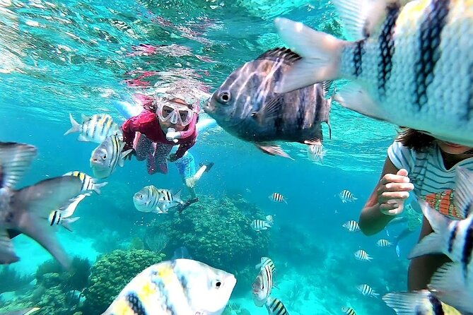 private-charter-28ft-grady-white-stingrays-snorkeling-starfish