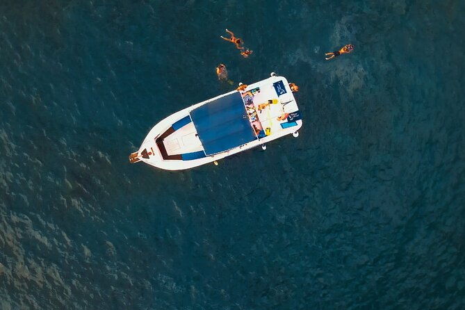 private-charter-3-hours-whale-encounter-puerto-colon-adeje