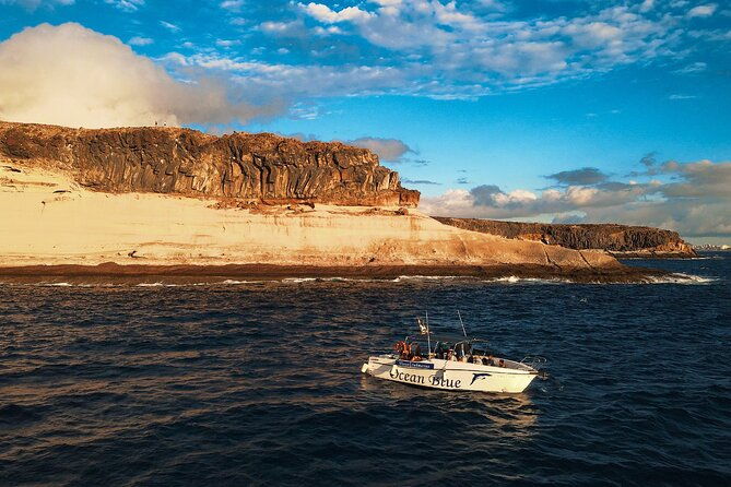 private-charter-3-hours-whale-encounter-puerto-colon-adeje