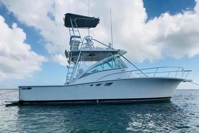 private-charter-34ft-express-cruiser-stingay-city-reef-snorkeling