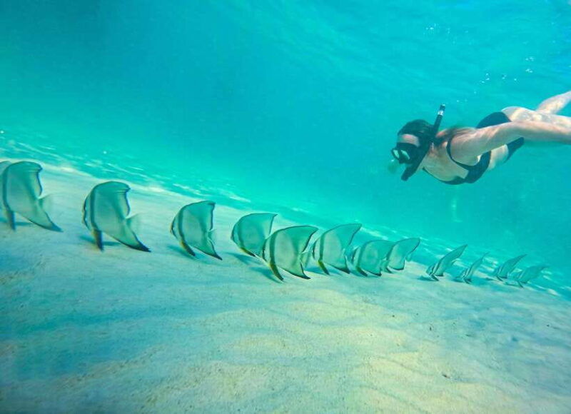 private-charter-boat-around-koh-tao-snorkel-paradise