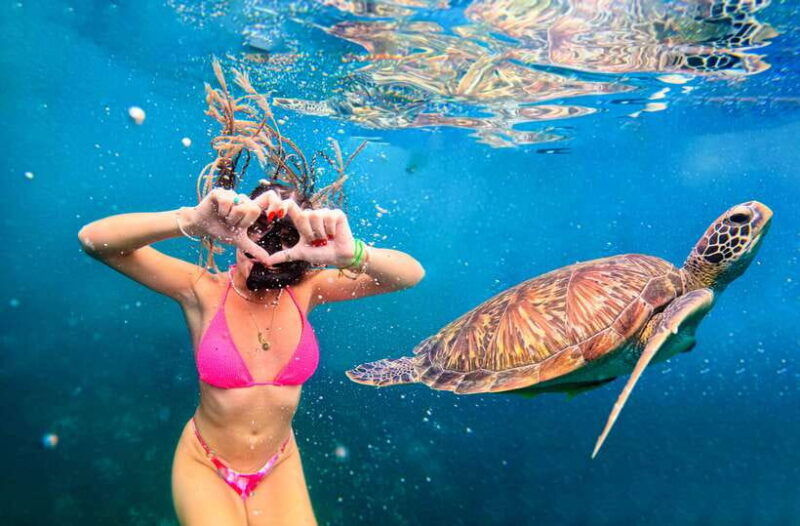 private-charter-boat-around-koh-tao-snorkel-paradise