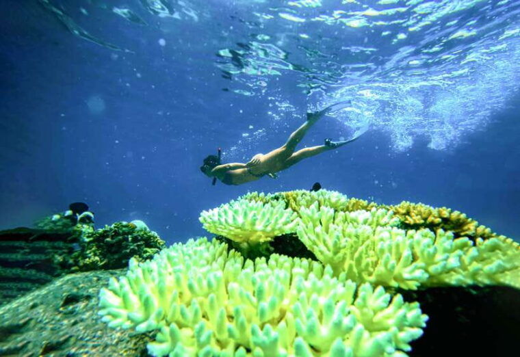 private-charter-boat-around-koh-tao-snorkel-paradise