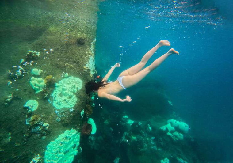 private-charter-boat-around-koh-tao-snorkel-paradise