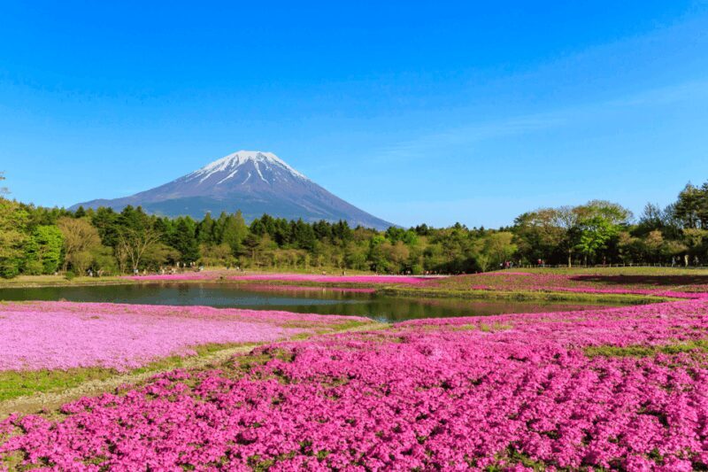 Private charter car one day trip for Mt fuji - What Does the Itinerary Look Like?