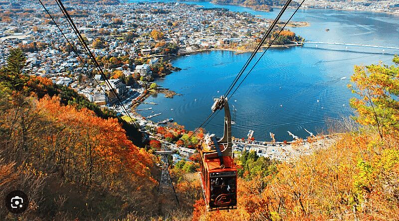 Private charter car one day trip for Mt fuji - The Experience on the Day