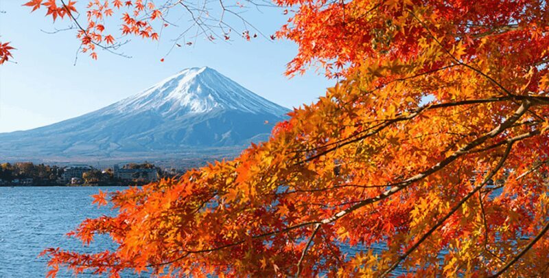 Private charter car one day trip for Mt fuji - Final Thoughts