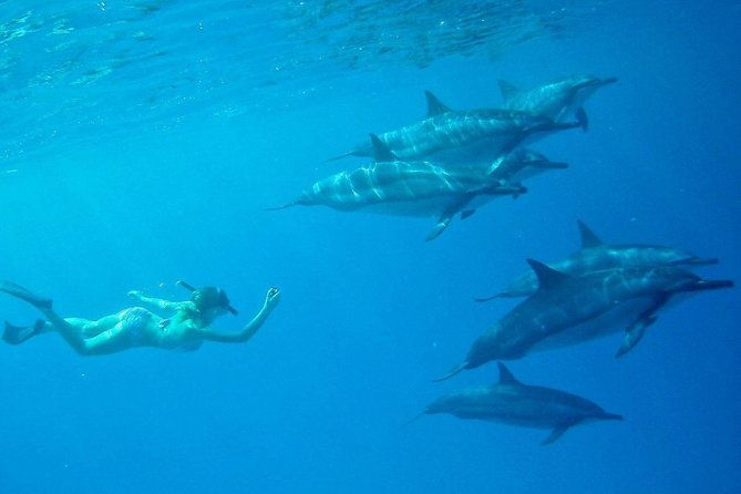 private-charter-customizable-big-island-boat-adventure