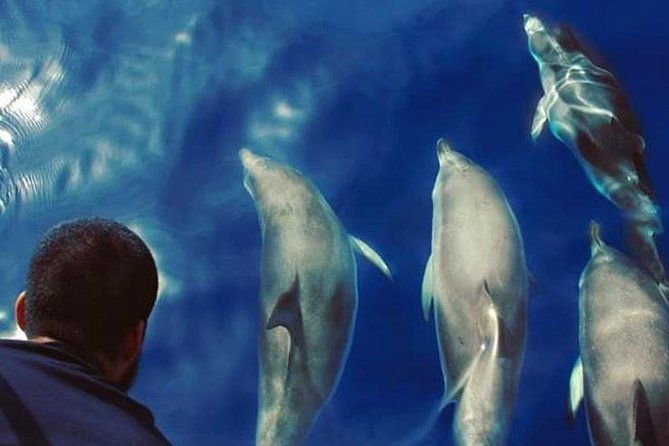 private-charter-in-tenerife-south-max-7-people