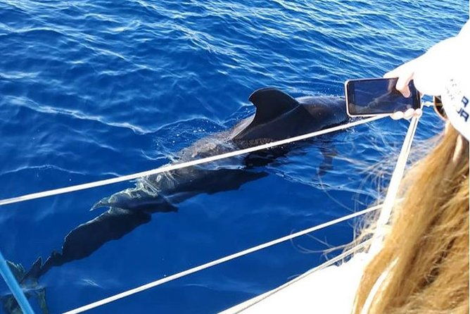 private-charter-in-tenerife-south-max-7-people