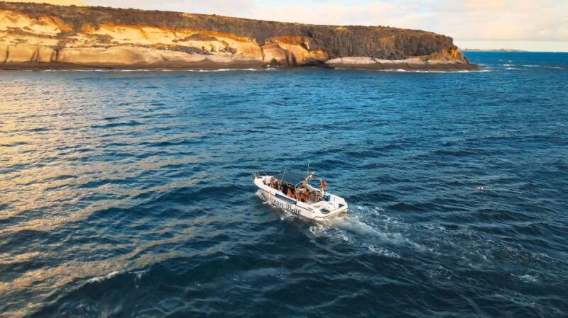 private-charter-private-charter-to-see-the-whales-2-hours