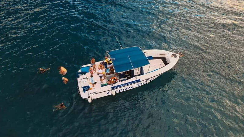 Private Charter Private Charter to see the whales - 3 Hours - Key Points