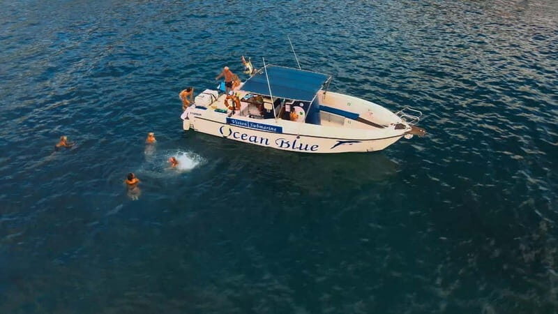 Private Charter Private Charter to see the whales - 3 Hours - An In-Depth Look at What to Expect