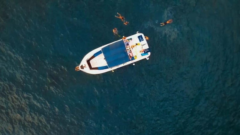 Private Charter Private Charter to see the whales - 3 Hours - Why This Tour Stands Out