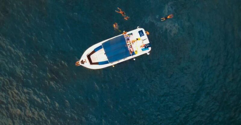 Private Charter Private Charter to see the whales - 3 Hours - FAQs