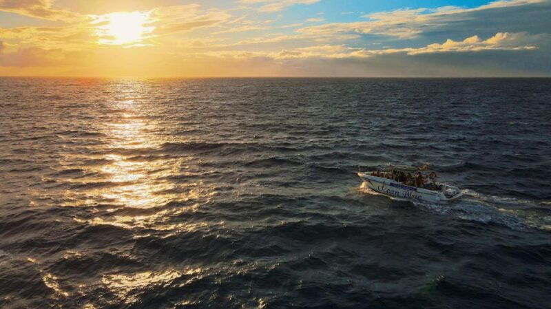 private-charter-private-charter-to-see-the-whales-3-hours