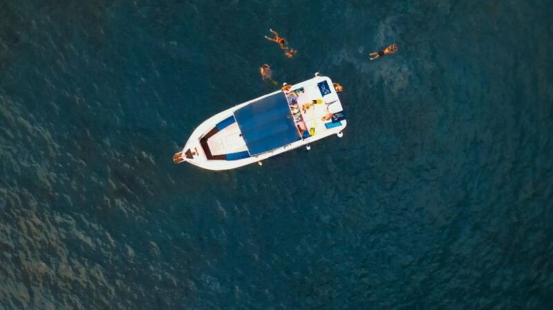 private-charter-private-charter-to-see-the-whales-3-hours