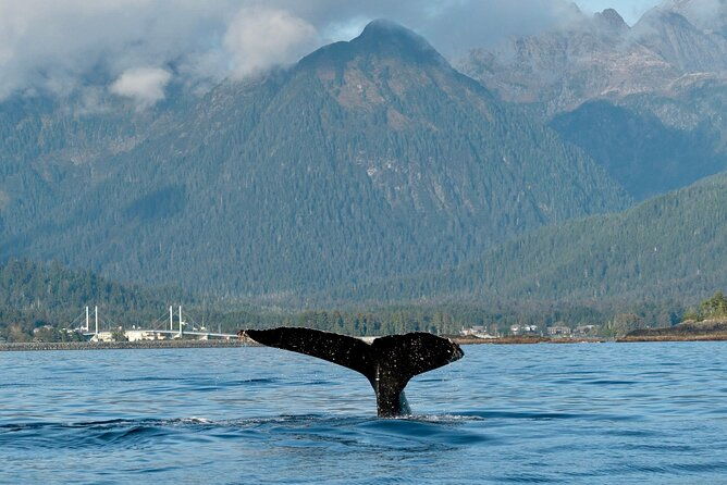 private-charter-scenic-sea-bird-excursion-for-cruise-passengers