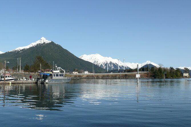 private-charter-scenic-wildlife-excursion-for-cruise-passengers
