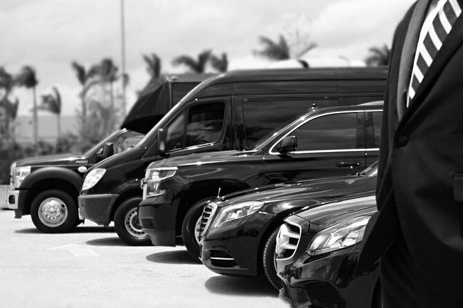 Private chauffeur and minivan for your tours or business needs. - An Honest Look at the Service