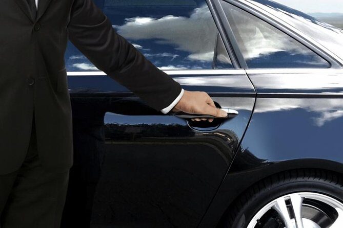 Private chauffeur and minivan for your tours or business needs. - What to Expect on Your Journey