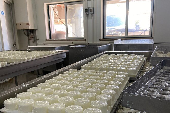 private-cheese-factory-visit-wine-tasting-tile-painting-tour