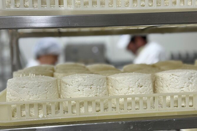 private-cheese-factory-visit-wine-tasting-tile-painting-tour