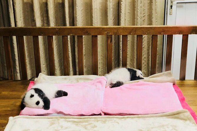 Private Chengdu City Highlight Day Tour - Exploring the Itinerary in Detail