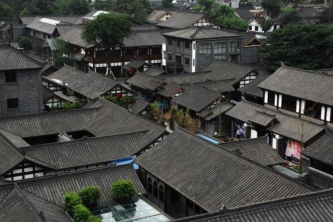 Private Chengdu Highlights Day Trip: Panda Base and City from Chongqing by Train - Practical Details and Value