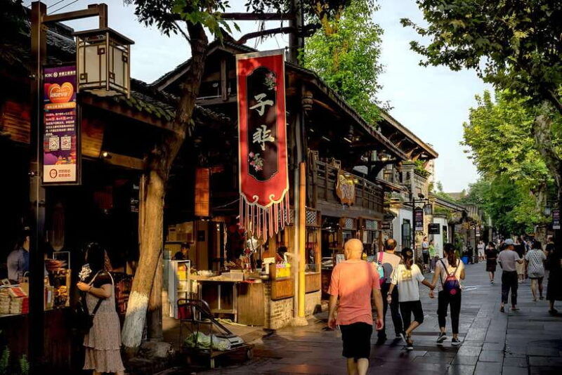 private-chengdu-highlights-tour-with-panda-breeding-base