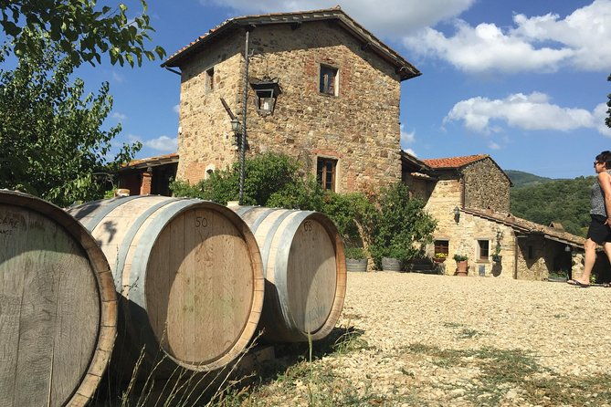 private-chianti-and-supertuscan-tour-2-wineries-with-light-lunch-from-livorno