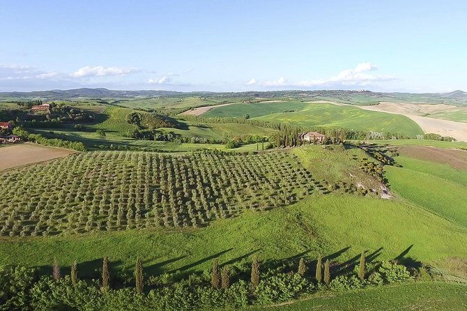 private-chianti-classico-tour-with-wine-and-food-tasting-in-a-historic-estate