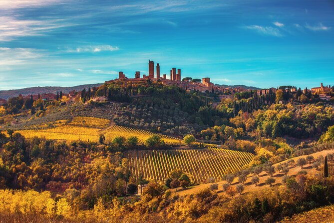 private-chianti-full-immersion-tuscany-wine-from-florence