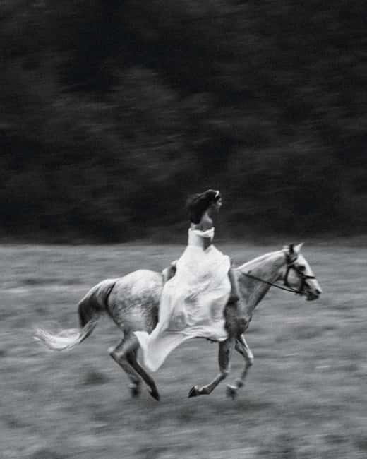 Private Chianti Horseback Riding Wine Tasting + Lunch - Considerations