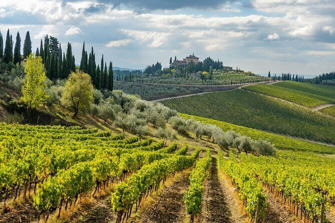 Private Chianti Safari: Off Road Tuscany Wine Tour with Lunch from Florence - Who Will Love This Tour?