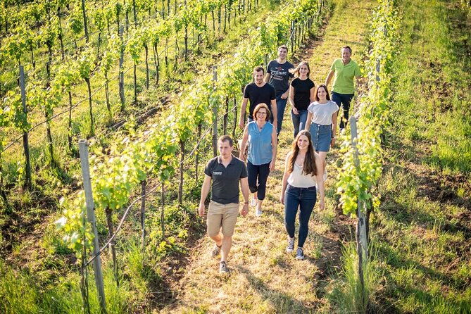 private-chianti-tour-and-wine-tasting-2