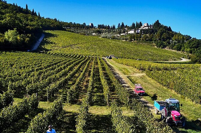 private-chianti-tour-and-wine-tasting-2