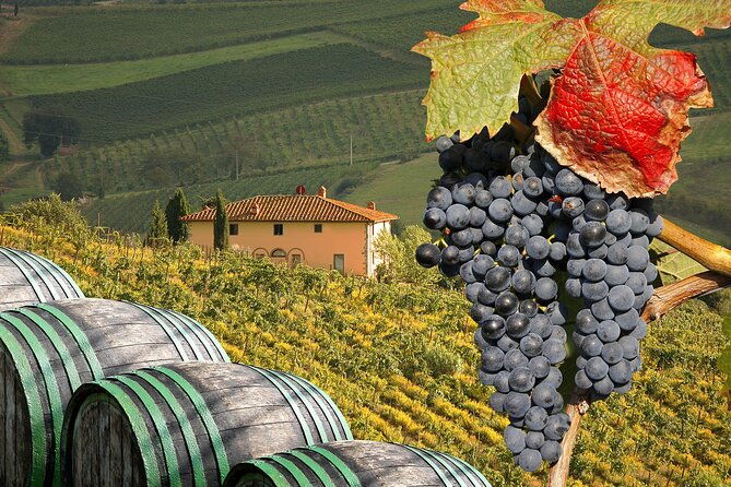 private-chianti-tour-and-wine-tasting-2