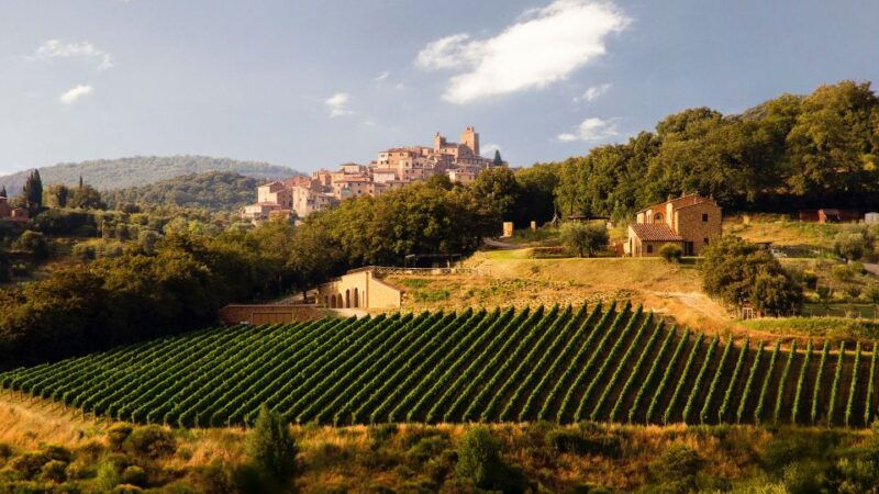 private-chianti-tour-and-wine-tasting-3