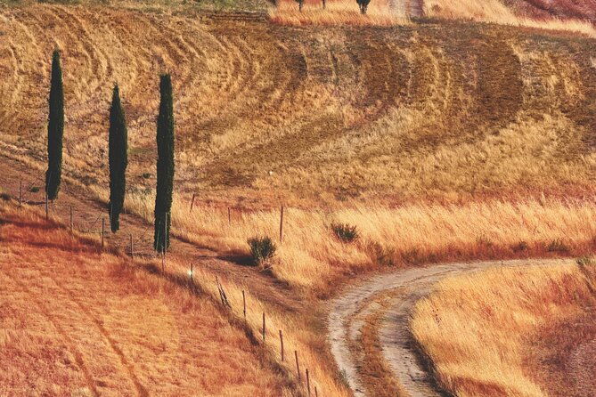 private-chianti-wine-tour-2