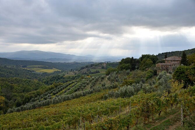private-chianti-wine-tour