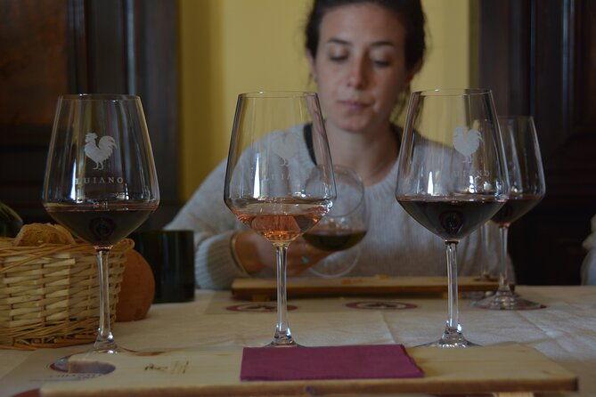 private-chianti-with-lunch-half-day-from-florence