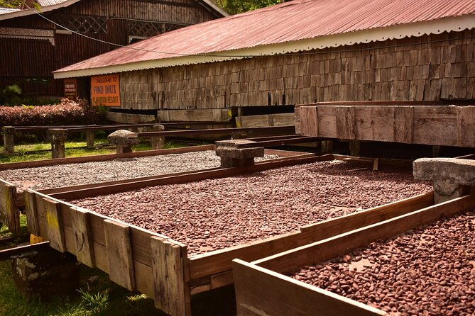 private-chocolate-making-class