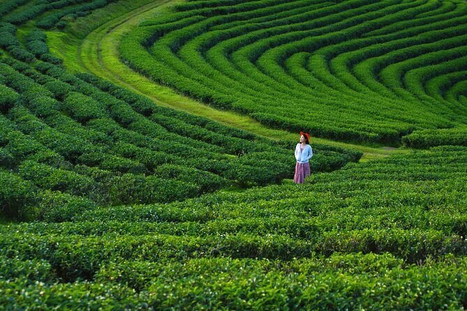 Private Choui Fong and Golden Triangle Explorer from Chiang Rai - Key Points